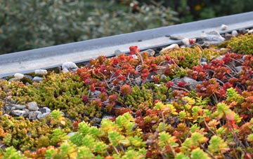 the cost of Railsbrough green roof installation