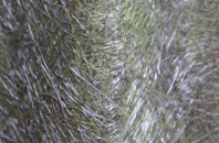 Railsbrough fibreglass roof work